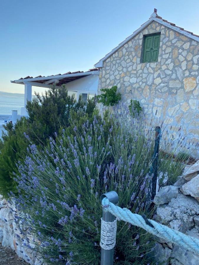 Alleinstehendes Haus Am Meer Robinson Tkon Zewnętrze zdjęcie